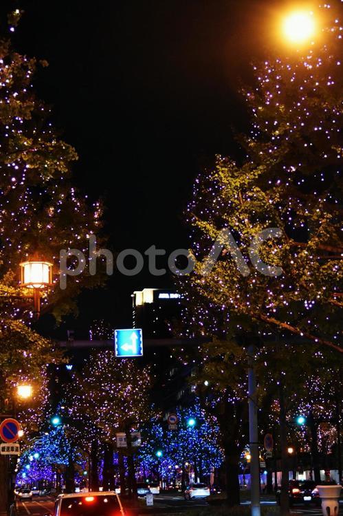 2022御堂筋イルミネーション 御堂筋,イルミネーション,夜景の写真素材