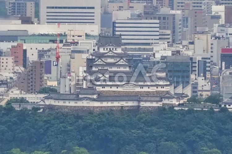 山の上から見た姫路城と町並み 姫路城,不動産,土地の写真素材