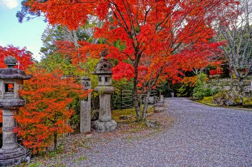 晩秋の嵐山・法輪寺 晩秋の嵐山・法輪寺の写真