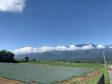 山梨 yamanashi,hokuto,山梨の写真素材