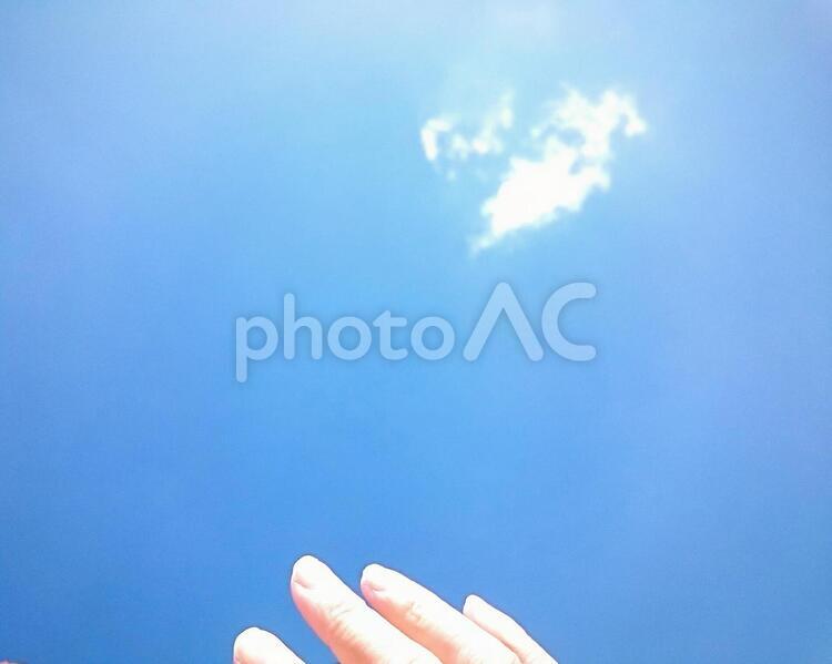青空に手を伸ばす指先 人,何人もありません,光の写真素材