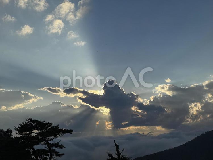 長野県菅平の夕日 夕日,夕焼け,雲海の写真素材