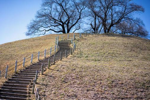 冬枯れの丘と続く階段 自然,風景,青空の写真素材