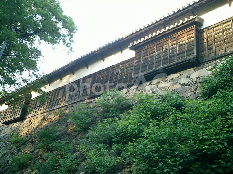 福岡城多聞櫓 福岡城,福岡,福岡県の写真素材