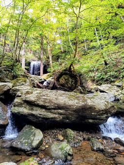 美しい渓谷のある山道 山道,森林,渓谷の写真素材