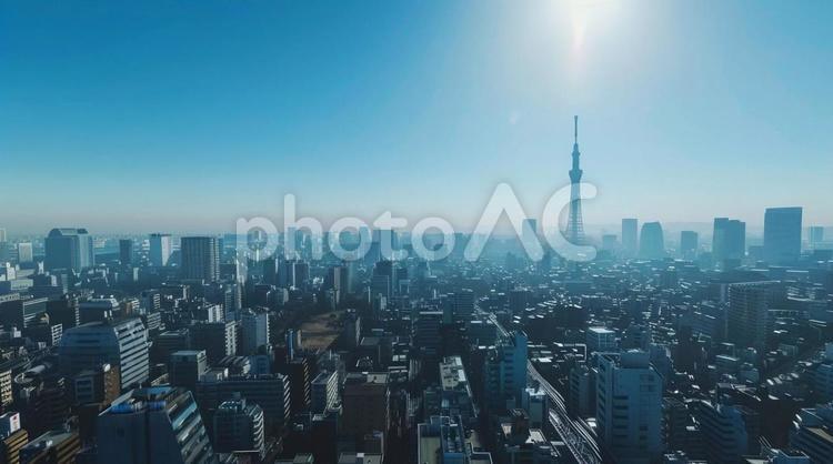 東京スカイツリーと快晴の街並み・都市風景 東京,スカイツリー,都市風景の写真素材