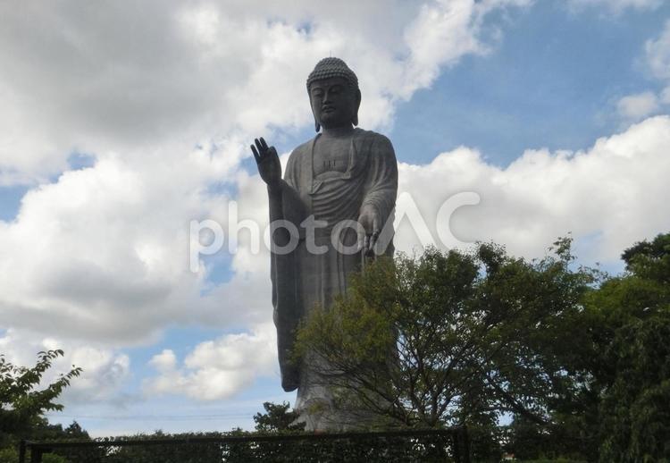 牛久大仏の風景-35 牛久大仏,茨城県牛久市,ブロンズ製大仏立像の写真素材