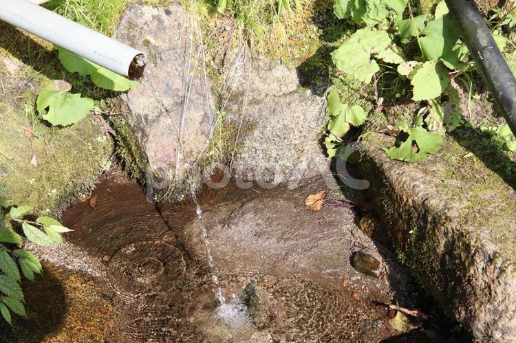 水 畑,土,木の写真素材