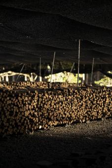 Photo, salary, firewood repository, log, 