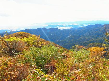 紅葉(浅間隠山) 紅葉(浅間隠山) 紅葉,もみじ,秋の写真素材