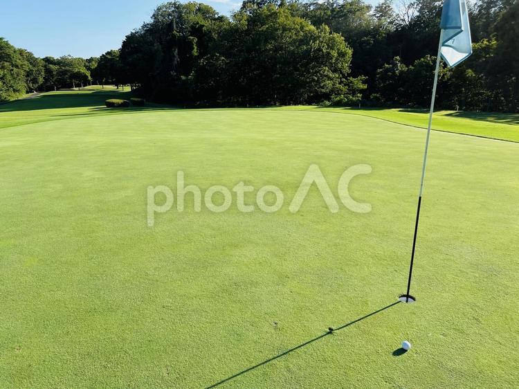 ゴルフグリーンの美しい芝生と影 おおむらさきゴルフ俱楽部,ゴルフ場,グリーンの写真素材