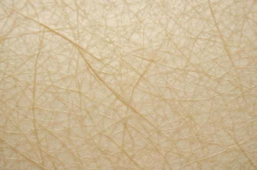 和紙（繊維と光の透過を表現）の写真