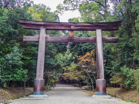 【滋賀県】大津市・近江神宮 近江神宮,大津市,鳥居の写真素材