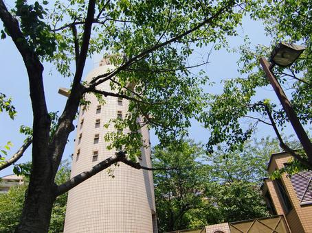 五月の緑風景-23 五月,緑,風景の写真素材