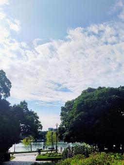 公園 公園の写真