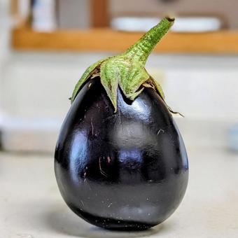 丸ナス 丸ナス 野菜,食材,丸ナスの写真素材