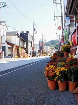 秋の笠間稲荷神社の門前通り&菊(笠間市) 秋の笠間稲荷神社の門前通り&菊(笠間市) 秋,笠間稲荷神社,門前通りの写真素材
