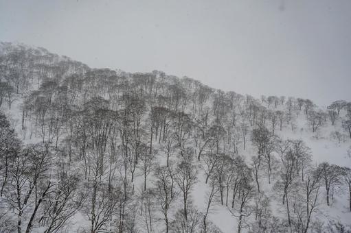 谷川岳ロープウェイから見た景色 谷川岳ロープウェイから見た景色の写真