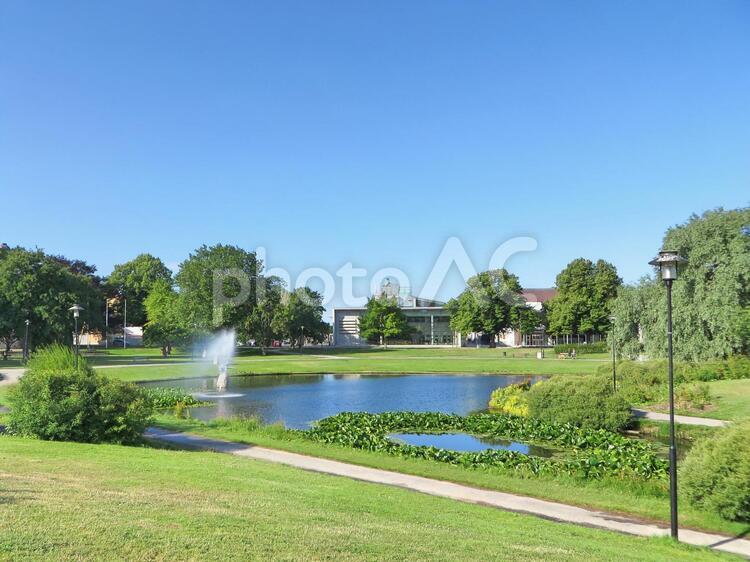 青空と池と芝生 公園,緑,木の写真素材