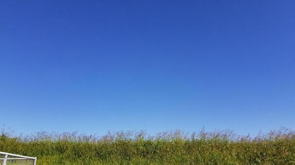 青空 青空の写真