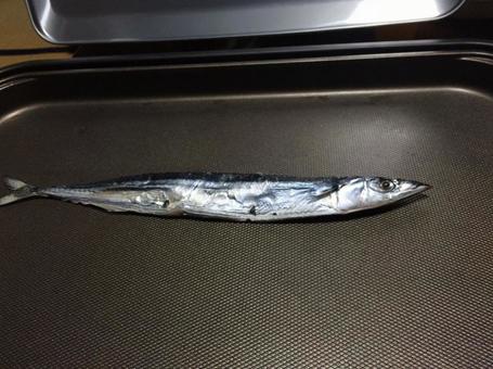 さんまの丸干 さんま,秋刀魚,干物の写真素材