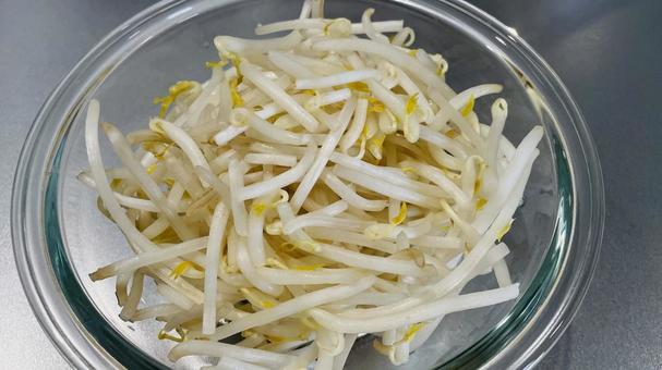 耐熱性容器に入ったもやし 耐熱性容器に入ったもやし もやし,モヤシ,野菜の写真素材