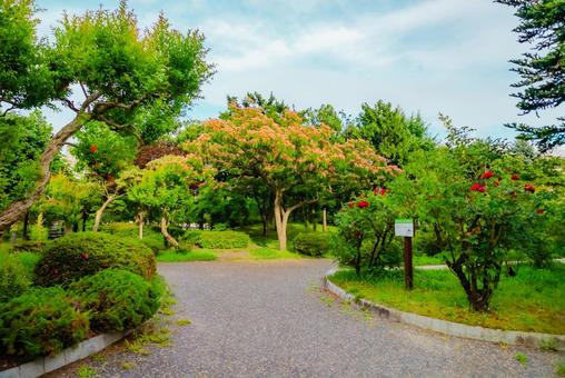【青森】青い森公園 2025 青い森公園,公園,青森の写真素材