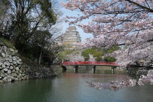 Himeji Castle, cherry blossoms and bridge, JPG