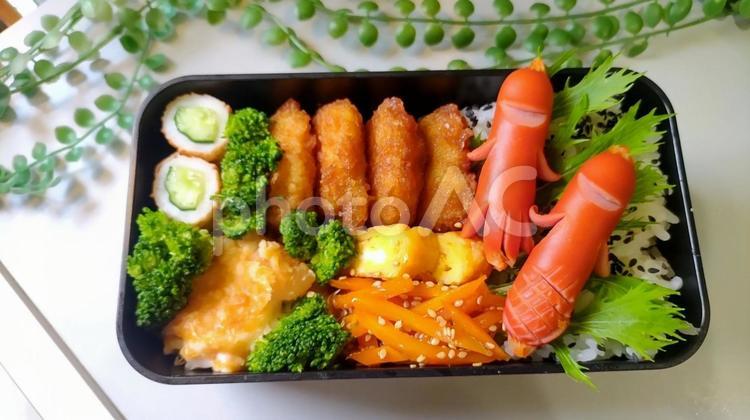 とんかつ弁当 お弁当,弁当,昼食の写真素材