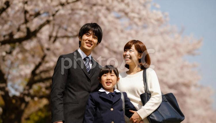 桜の木の下で家族が微笑む写真 新入生,新生活,スクールバッグの写真素材