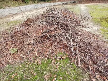 公園の枯枝の山 公園の枯枝の山の写真