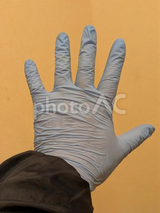 ニトリル手袋をはめた男の左手 人体,上肢,手の写真素材
