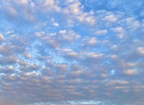 ピンク色の雲のある夕空 ピンク色の雲のある夕空の写真