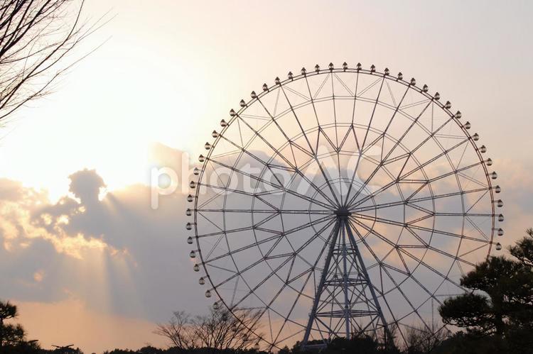 葛西臨海公園の観覧車 葛西臨海公園,観覧車,夕焼けの写真素材
