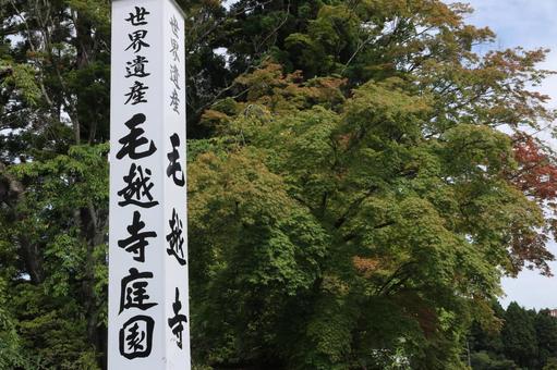 毛越寺 毛越寺の写真