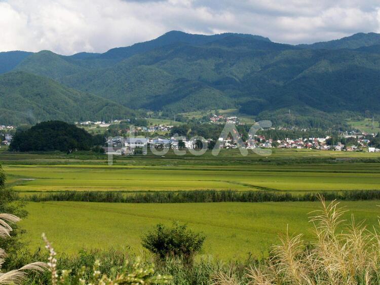 夏の田舎風景 夏,田舎,風景の写真素材