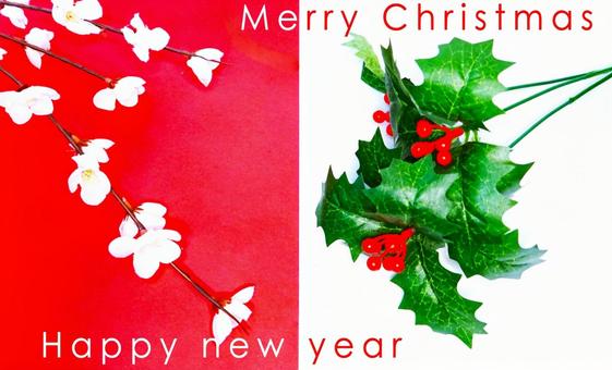 梅と柊（英文字） クリスマス,お正月,梅の写真素材