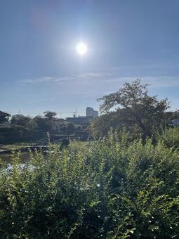 朝の公園 秋,空,高いの写真素材