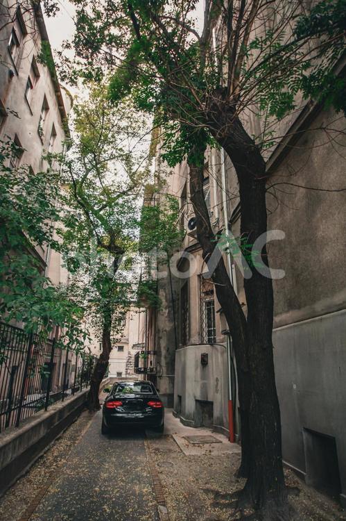 狭い裏通りの風景 狭い道,裏通り,都市の写真素材