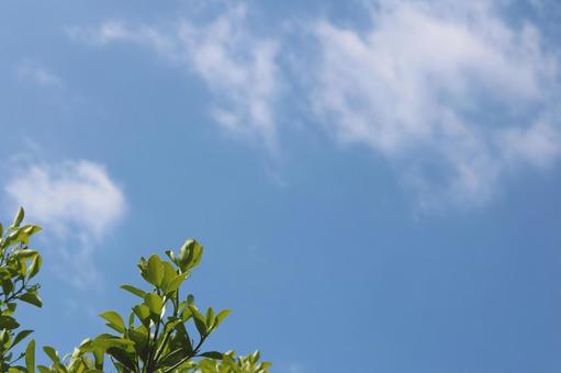 青空の写真