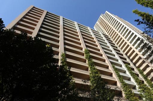 千葉県 柏の葉キャンパスの街並み 千葉県 柏の葉キャンパスの街並み 柏市,千葉県,柏の葉キャンパスの写真素材