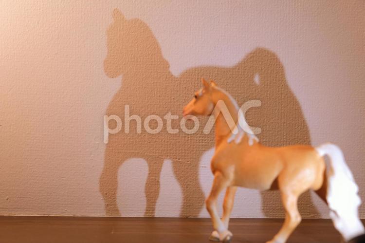 シュライヒ　下からライトアップされた立つ馬のフィギュアと影 シュライヒ,シュライヒフィギュア,馬の写真素材