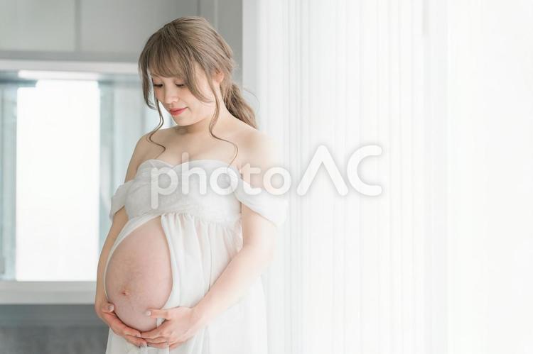 マタニティフォトの撮影をする妊婦の女性 妊婦,妊娠,マタニティフォトの写真素材