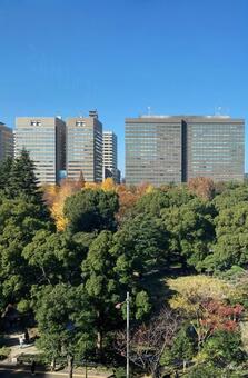 日比谷公園と高層ビルと青い空 日比谷公園,千代田区,秋の写真素材