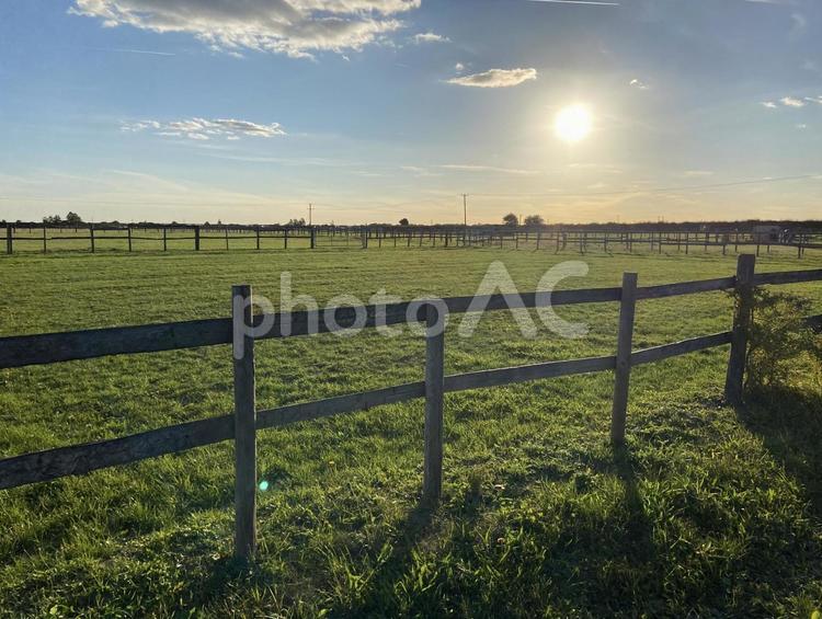 海外の牧場 海外の牧場,牧場,夕日の写真素材
