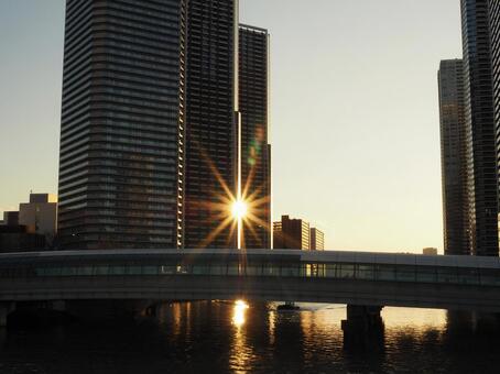 都心のタワマンから溢れる光 東京,ビル,タワマンの写真素材