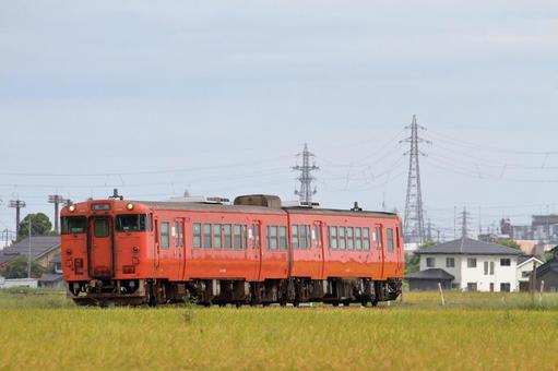 黄金色の稲穂の横を、JR城端線 jr,jr西日本,城端線の写真素材