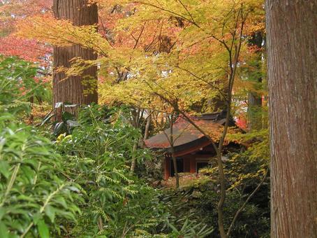 京都 大原 京都 大原の写真