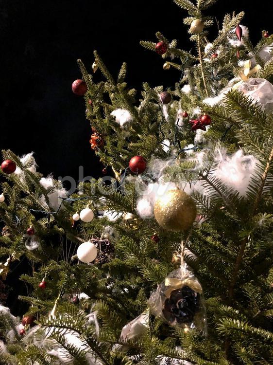 きよしこの夜 クリスマス,クリスマスツリー,クリスマスオーナメントの写真素材