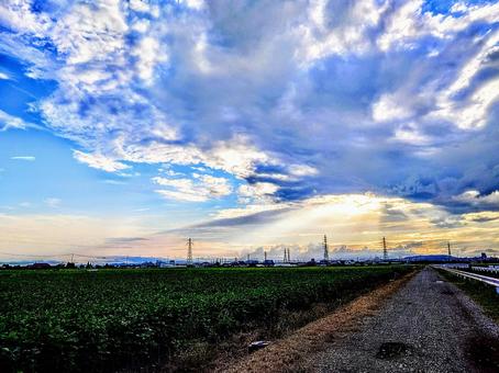 秋空 秋,晴れ,自然の写真素材